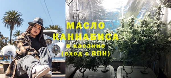 гидра Михайловск