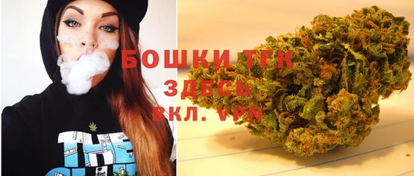 гидра Михайловск
