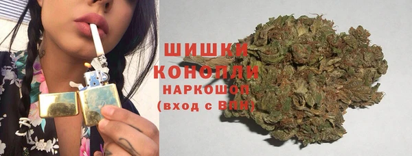 гидра Михайловск